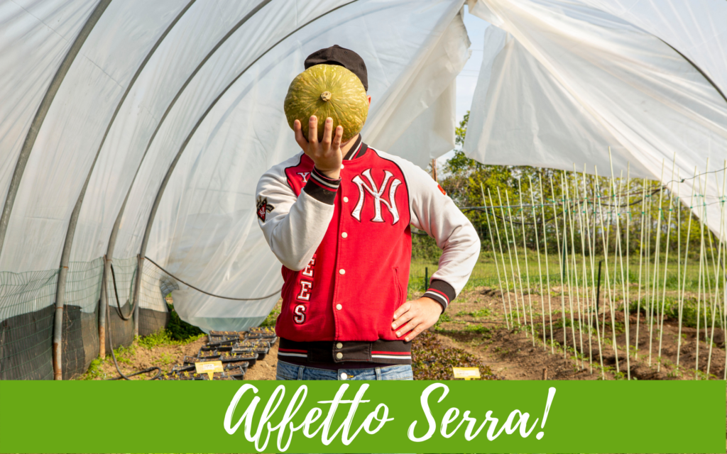 Affetto Serrra: costruiamo nuove serre a tunnel