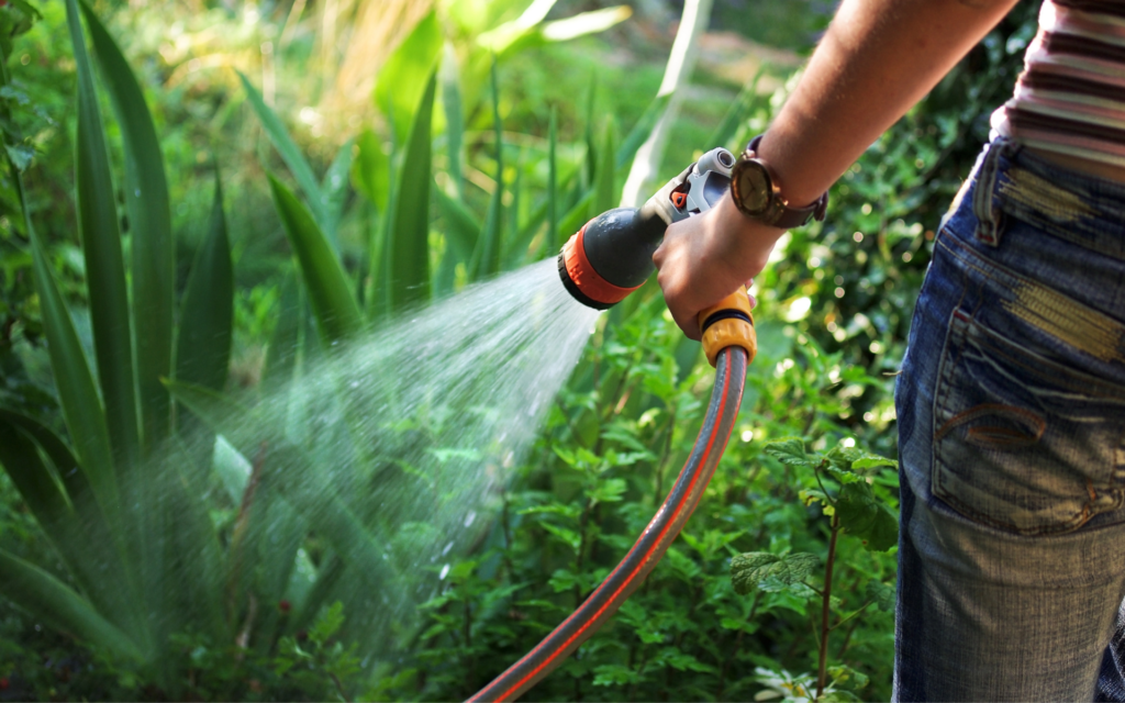 lavori in giardino a luglio