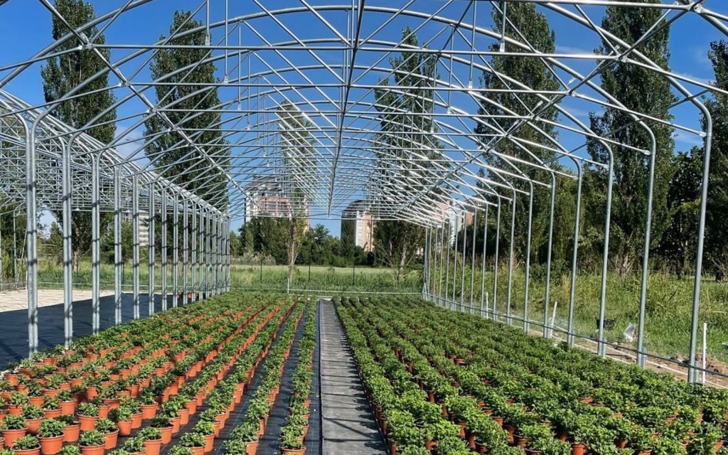 giardino e orto a settembre