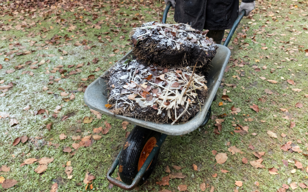 IL GIARDINO E L’ORTO DI NOVEMBRE.