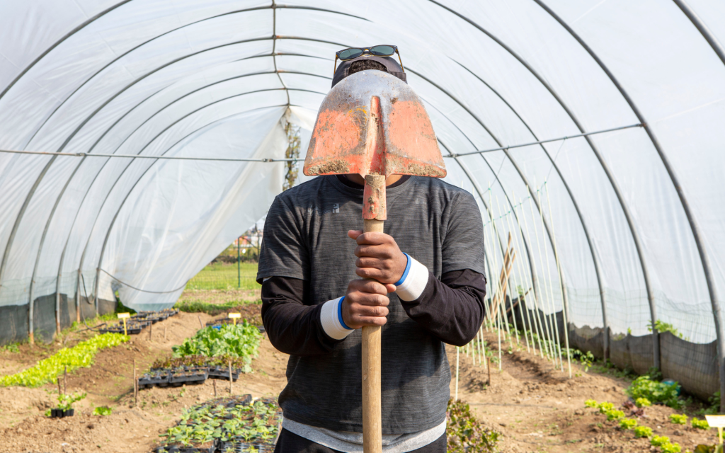 Lavori da fare nell'orto di gennaio